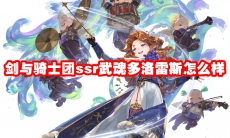 剑与骑士团ssr武魂多洛雷斯怎么样