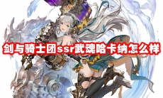 剑与骑士团ssr武魂哈卡纳怎么样