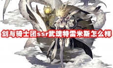 剑与骑士团ssr武魂特雷米斯怎么样