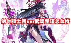 剑与骑士团ssr武魂紫瑾介绍