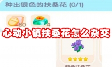 心动小镇扶桑花怎么杂交