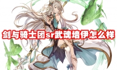 剑与骑士团sr武魂培伊怎么样