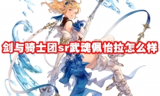 剑与骑士团sr武魂佩怡拉怎么样