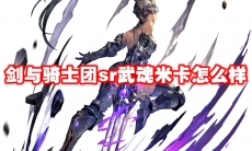 剑与骑士团sr武魂米卡怎么样