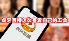虎牙直播怎么查看自己的工会