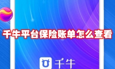 千牛平台保险账单怎么查看