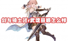 剑与骑士团r武魂丽娜怎么样