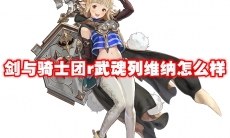 剑与骑士团r武魂列维纳怎么样