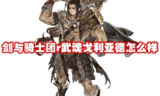 剑与骑士团r武魂戈利亚德怎么样