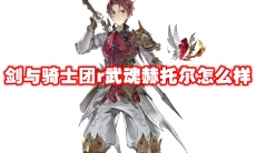 剑与骑士团r武魂赫托尔怎么样