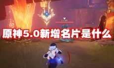 原神5.0新增名片是什么