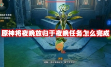 原神将夜晚放归于夜晚任务怎么完成