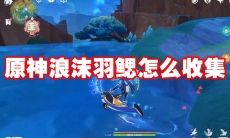 原神浪沫羽鳃怎么收集