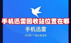 手机迅雷回收站位置在哪