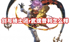 剑与骑士团r武魂普利怎么样