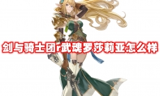 剑与骑士团r武魂罗莎莉亚怎么样