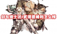 剑与骑士团r武魂德姆利怎么样