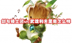 剑与骑士团uc武魂利夫里奥怎么样
