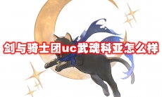 剑与骑士团uc武魂科亚怎么样