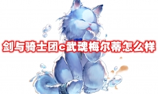 剑与骑士团c武魂梅尔蒂怎么样