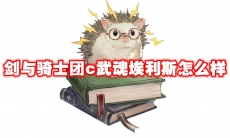 剑与骑士团c武魂埃利斯怎么样