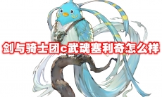 剑与骑士团c武魂塞利奇怎么样