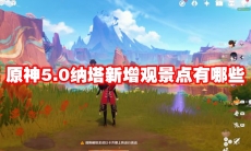 原神5.0纳塔新增观景点有哪些