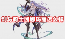 剑与骑士团娜玛丽怎么样