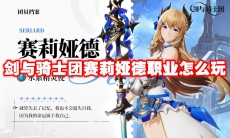 剑与骑士团赛莉娅德职业怎么玩