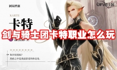 剑与骑士团卡特职业怎么玩