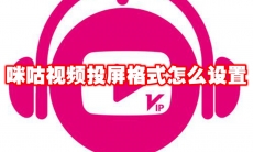 咪咕视频投屏格式怎么设置