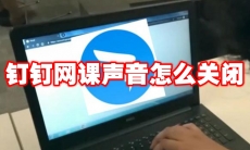 钉钉网课声音怎么关闭
