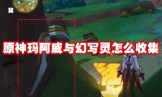 原神玛阿威与幻写灵怎么收集