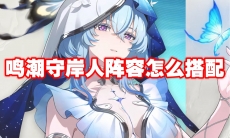 鸣潮守岸人阵容怎么搭配
