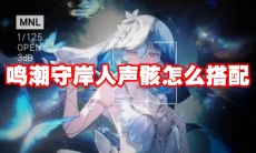 鸣潮守岸人声骸怎么搭配