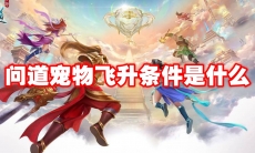 问道宠物飞升条件是什么