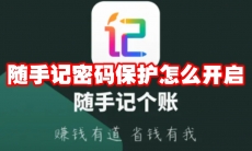 随手记密码保护怎么开启