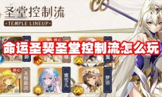 命运圣契圣堂控制流怎么玩