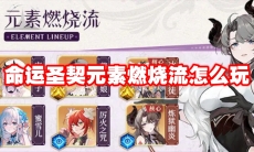 命运圣契元素燃烧流怎么玩