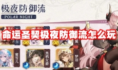 命运圣契极夜防御流怎么玩
