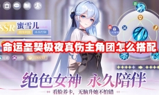 命运圣契极夜真伤主角团怎么搭配