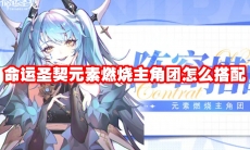 命运圣契元素燃烧主角团怎么搭配