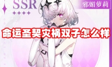 命运圣契灾祸双子怎么样
