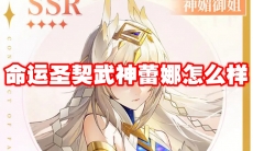 命运圣契武神蕾娜怎么样