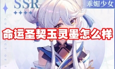 命运圣契玉灵墨怎么样