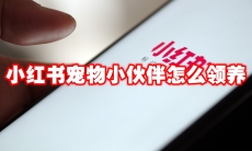 小红书宠物小伙伴怎么领养