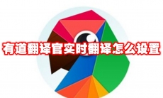 有道翻译官实时翻译怎么设置