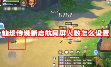 仙境传说新启航同屏人数怎么设置