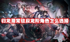 归龙潮常驻应龙阶角色怎么选择