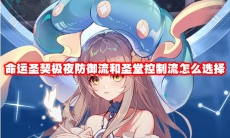 命运圣契极夜防御流和圣堂控制流怎么选择